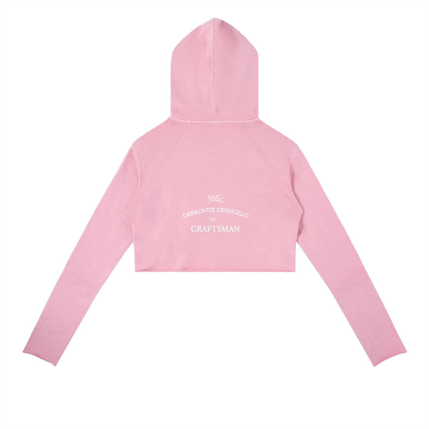Dancing Pegasus Hoodie