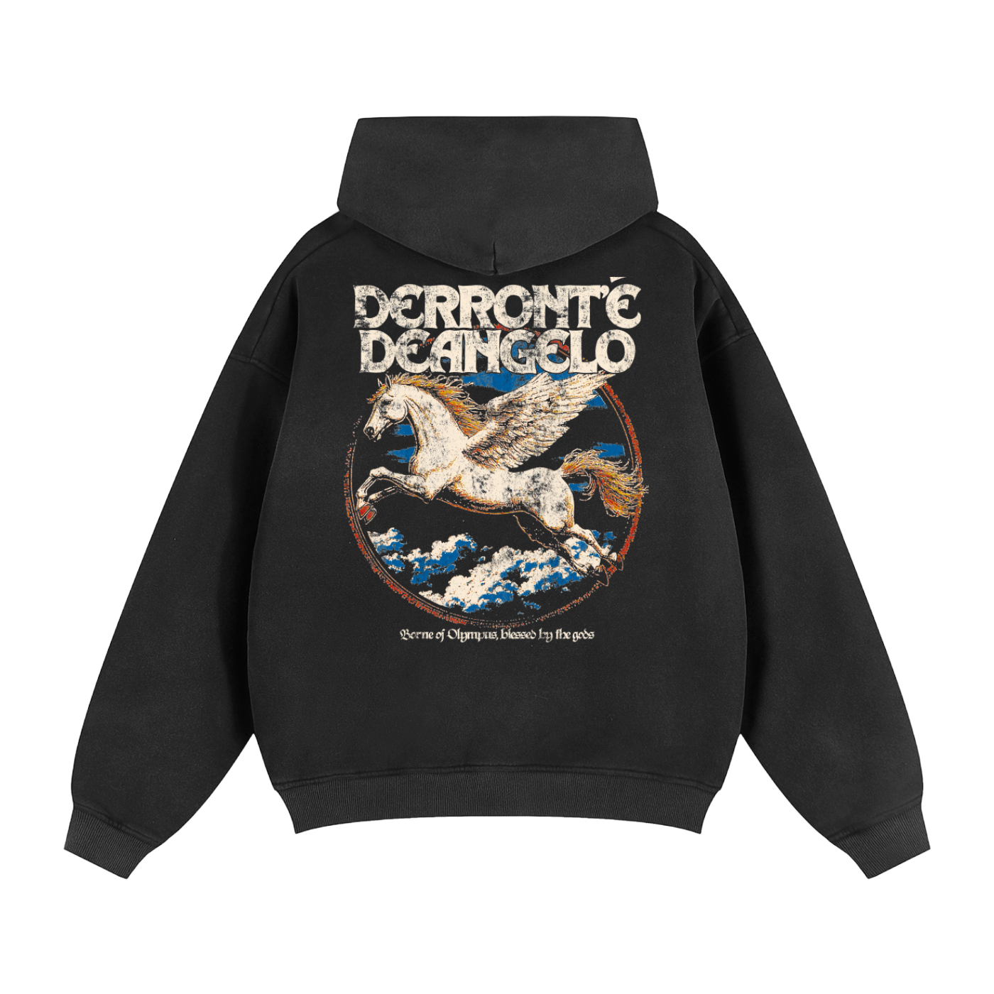 Olympus hoodie Hoodie