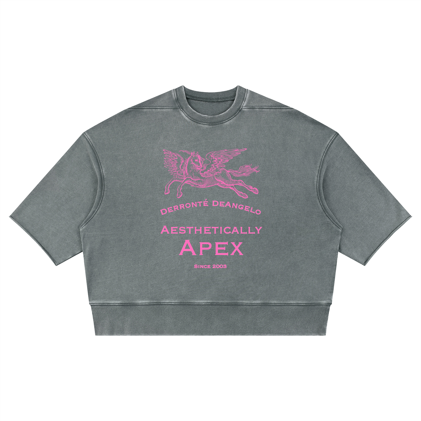 Dancing Pegasus Raw Edge T-Shirt