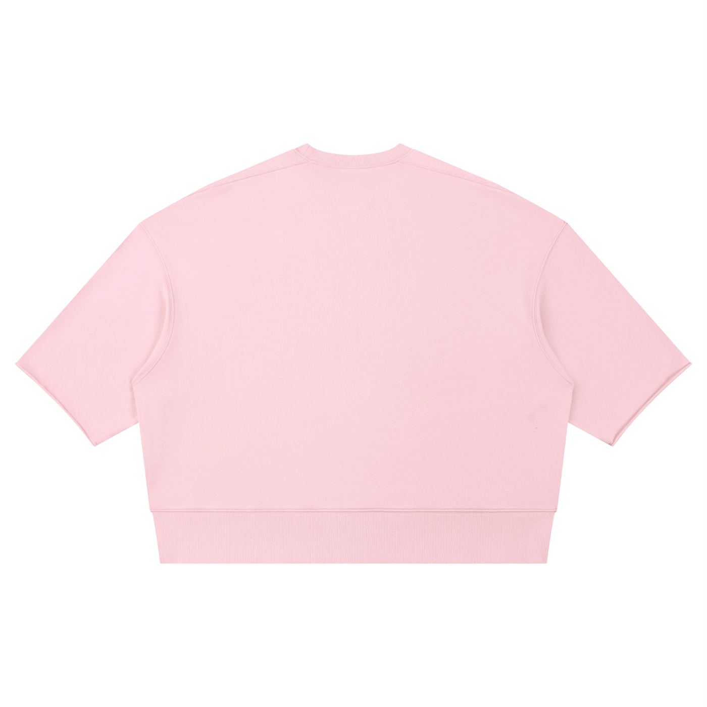 Dancing Pegasus Raw Edge T-Shirt